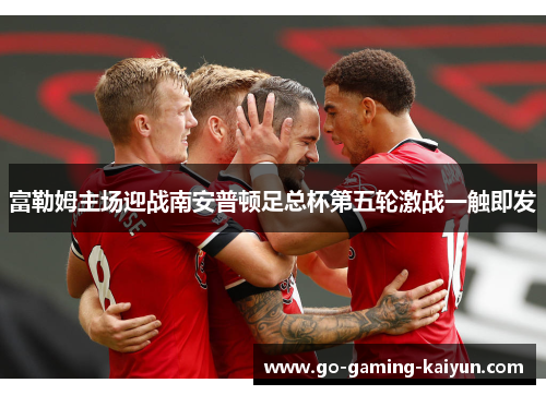 富勒姆主场迎战南安普顿足总杯第五轮激战一触即发