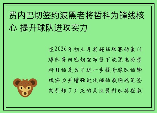 费内巴切签约波黑老将哲科为锋线核心 提升球队进攻实力